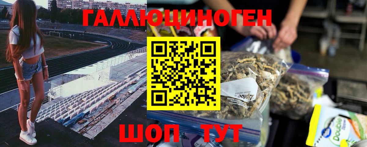 Псилоцибиновые грибы MAGIC MUSHROOMS  Вход с VPN  Мичуринск  Галлюциногенные грибы Psilocybe 